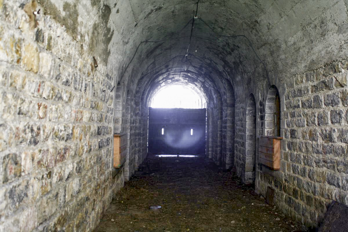 Ligne Maginot - LE TRUC - (Position d'artillerie préparée) -     - Michel & Philippe ZIMMER