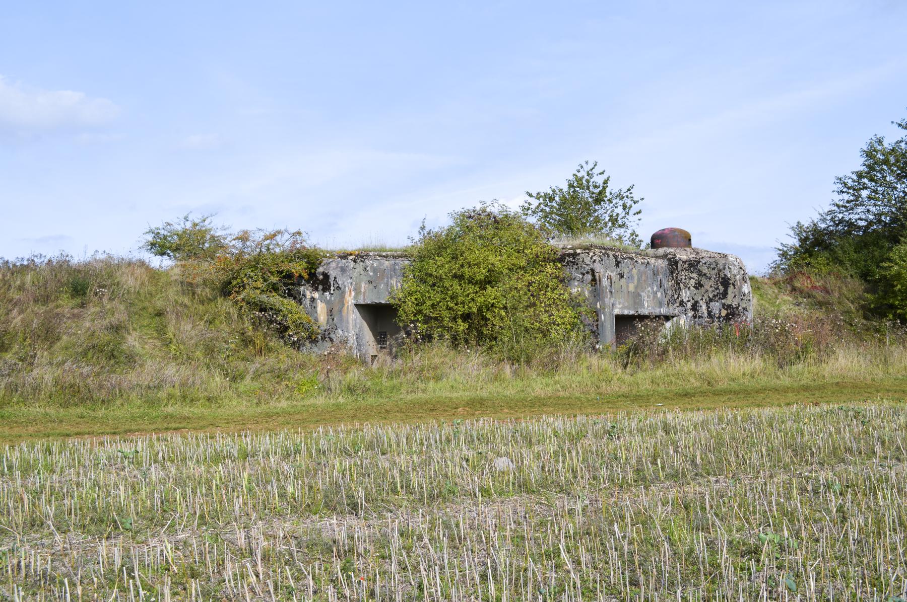 Ligne Maginot - ROUTE D'OTTANGE EST - C31 - (Casemate d'infanterie - Simple) -  - ukmaginot