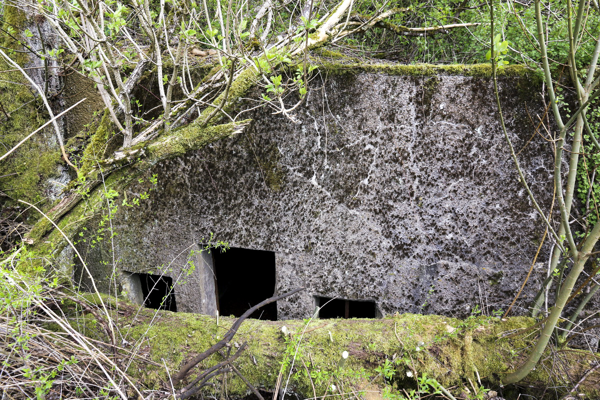 Ligne Maginot - POTEAU - (PC) -  - Alain Perouffe