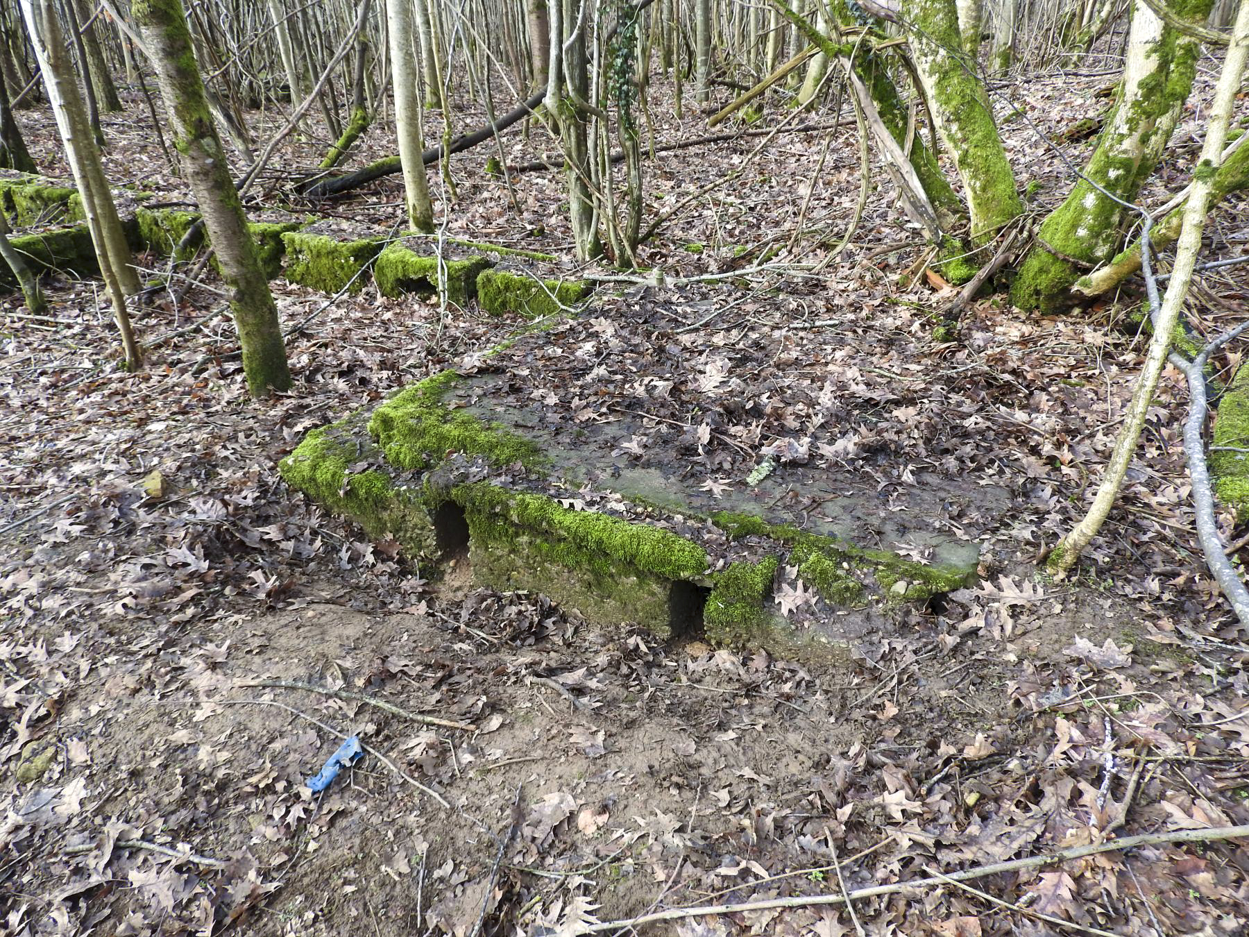 Ligne Maginot - GROS BOIS - (Casernement) -  - STENGER Mathieu