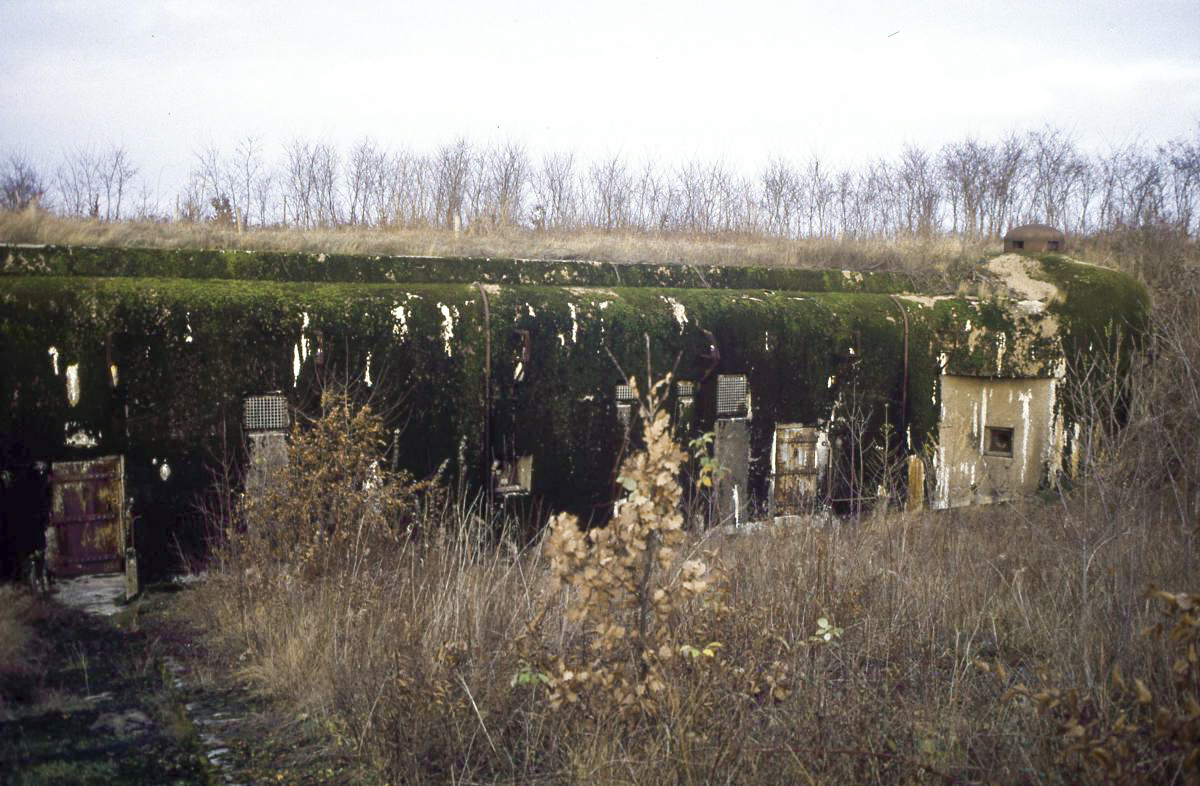 Ligne Maginot - GROS BOIS - X1 (QUARTIER LUDELANGE - I/128°RIF) - (Abri) -  L'abri en 1992 - Valentin Hemmert