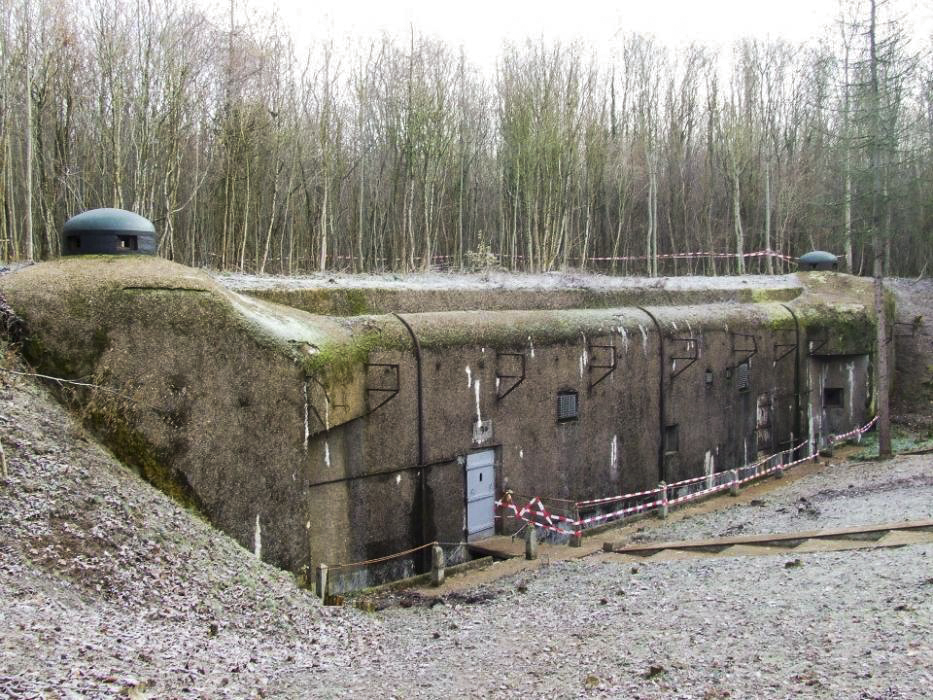 Ligne Maginot - GROS BOIS - X1 (QUARTIER LUDELANGE - I/128°RIF) - (Abri) - L'abri en décembre 2012 après 1 an de réhabilitation par l'association La Lorraine à travers les siècles - Kévin BRESSAN