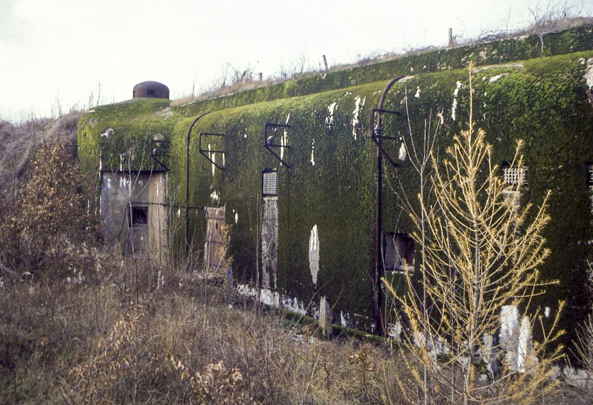 Ligne Maginot - GROS BOIS - X1 (QUARTIER LUDELANGE - I/128°RIF) - (Abri) -  - Valentin Hemmert
