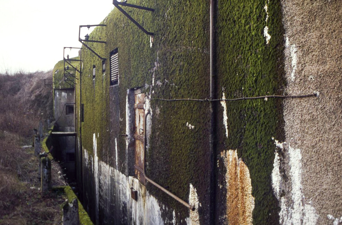 Ligne Maginot - GROS BOIS - X1 (QUARTIER LUDELANGE - I/128°RIF) - (Abri) -  - Valentin Hemmert