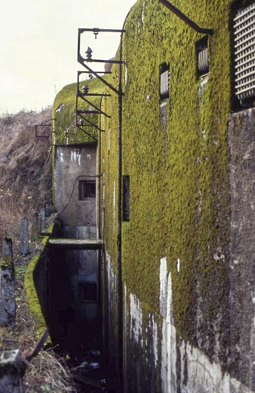 Ligne Maginot - GROS BOIS - X1 (QUARTIER LUDELANGE - I/128°RIF) - (Abri) -  - Valentin Hemmert