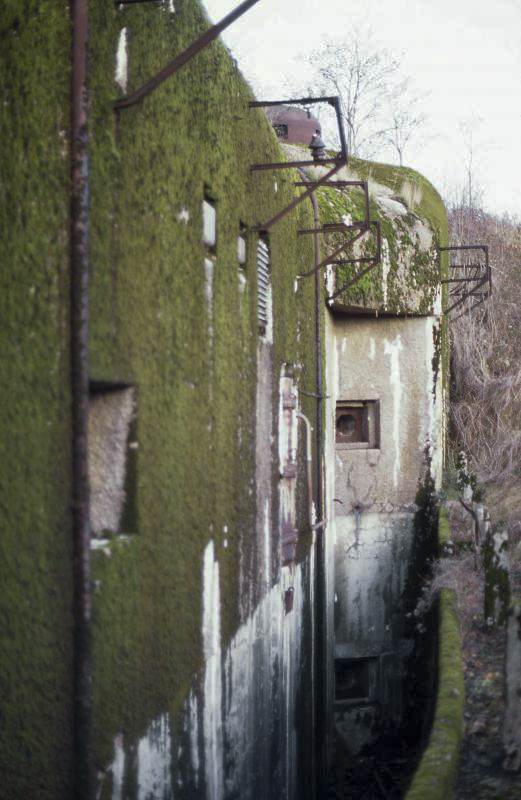 Ligne Maginot - GROS BOIS - X1 (QUARTIER LUDELANGE - I/128°RIF) - (Abri) -  - Valentin Hemmert