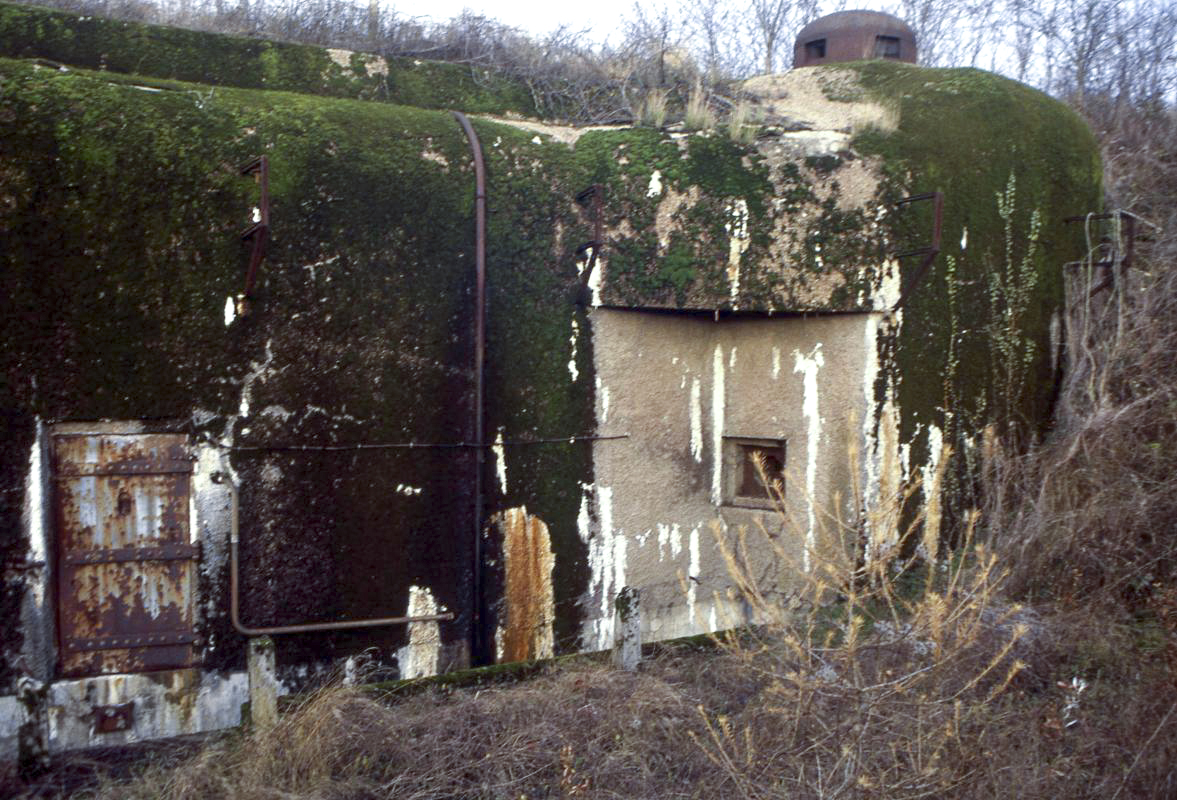Ligne Maginot - GROS BOIS - X1 (QUARTIER LUDELANGE - I/128°RIF) - (Abri) -  - Valentin Hemmert