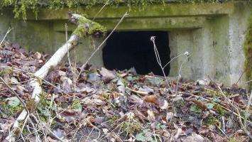 Ligne Maginot - HESTROFF NORD 6 - (Blockhaus pour arme infanterie) - 