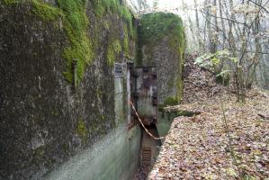 Ligne Maginot - BOIS DE KANFEN OUEST - C42 - (Casemate d'infanterie - Simple) - 