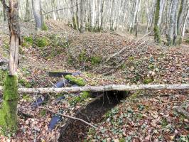 Ligne Maginot - VOR BERG 3 - (Abri) - L'abri en tôle métro en ruine.