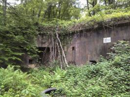 Ligne Maginot - BICHEL NORD - X18 - (Abri) - Etat actuel.
Remblayé par l'armée.