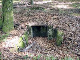 Ligne Maginot - BOIS DE KLANG (CM9 - III/164° RIF) - (PC de Sous-Quartier) - Aux alentours
Au premier plan, on voit une première alvéole possédant une niche et au second plan une deuxième alvéole.