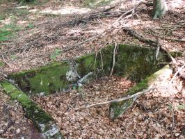 Ligne Maginot - BOIS DE KLANG (CM9 - III/164° RIF) - (PC de Sous-Quartier) - Aux alentours
La second alvéole. Elle est reliée a la première par une tranchée.