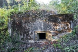 Ligne Maginot - BB367 - EICHEN 1 - (Blockhaus pour arme infanterie) - 