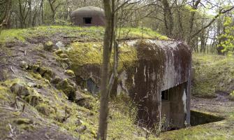 Ligne Maginot - LANGHEP NORD - C63 - (Casemate d'infanterie - Simple) - 