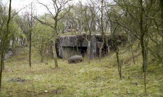 Ligne Maginot - LANGHEP NORD - C63 - (Casemate d'infanterie - Simple) -     
