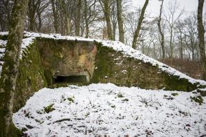 Ligne Maginot - BB9 - (Blockhaus pour arme infanterie) - Embrasure frontale et camouflage