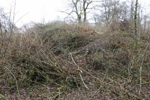 Ligne Maginot - Ab13 (Blockhaus pour canon) - Sous les branches... 
Situation décembre 2017