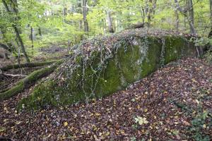 Ligne Maginot - BB308BIS - (Blockhaus pour arme infanterie) - Le bloc est partiellement détruit
