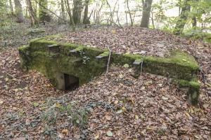Ligne Maginot - SCHESSEL 1 - (Blockhaus pour arme infanterie) - L'entrée