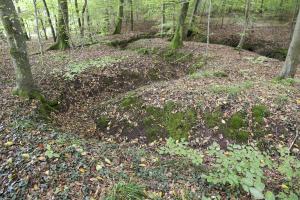 Ligne Maginot - SCHESSEL 2 - (Blockhaus pour arme infanterie) - Tranchées dans le secteur, liaison ou combat
