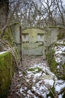 Ligne Maginot - BOIS DE COUME 3 - (Abri) - 