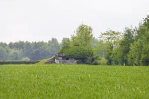 Ligne Maginot - B546 - LA TALPIETTE - (Blockhaus pour canon) - 