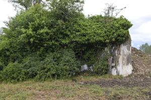 Ligne Maginot - B546 - LA TALPIETTE - (Blockhaus pour canon) - 