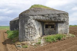 Ligne Maginot - B563 - PETIT CHENE - (Blockhaus pour canon) - 