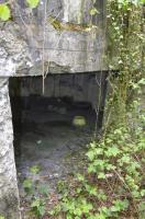 Ligne Maginot - BEF 301 - BOIS DE LA TASSONNIERE - (Blockhaus pour canon) - L'entrée