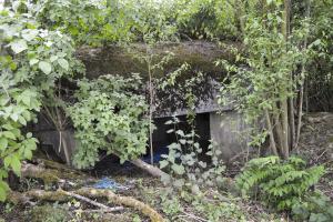 Ligne Maginot - B344 - BOIS DE VARLET NORD - (Blockhaus pour canon) - L'entrée