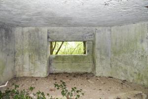Ligne Maginot - B343 - BOIS DE BERCU NORD - (Blockhaus pour canon) - 