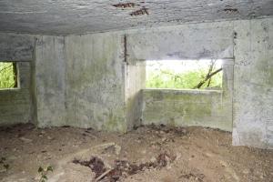Ligne Maginot - B343 - BOIS DE BERCU NORD - (Blockhaus pour canon) - 