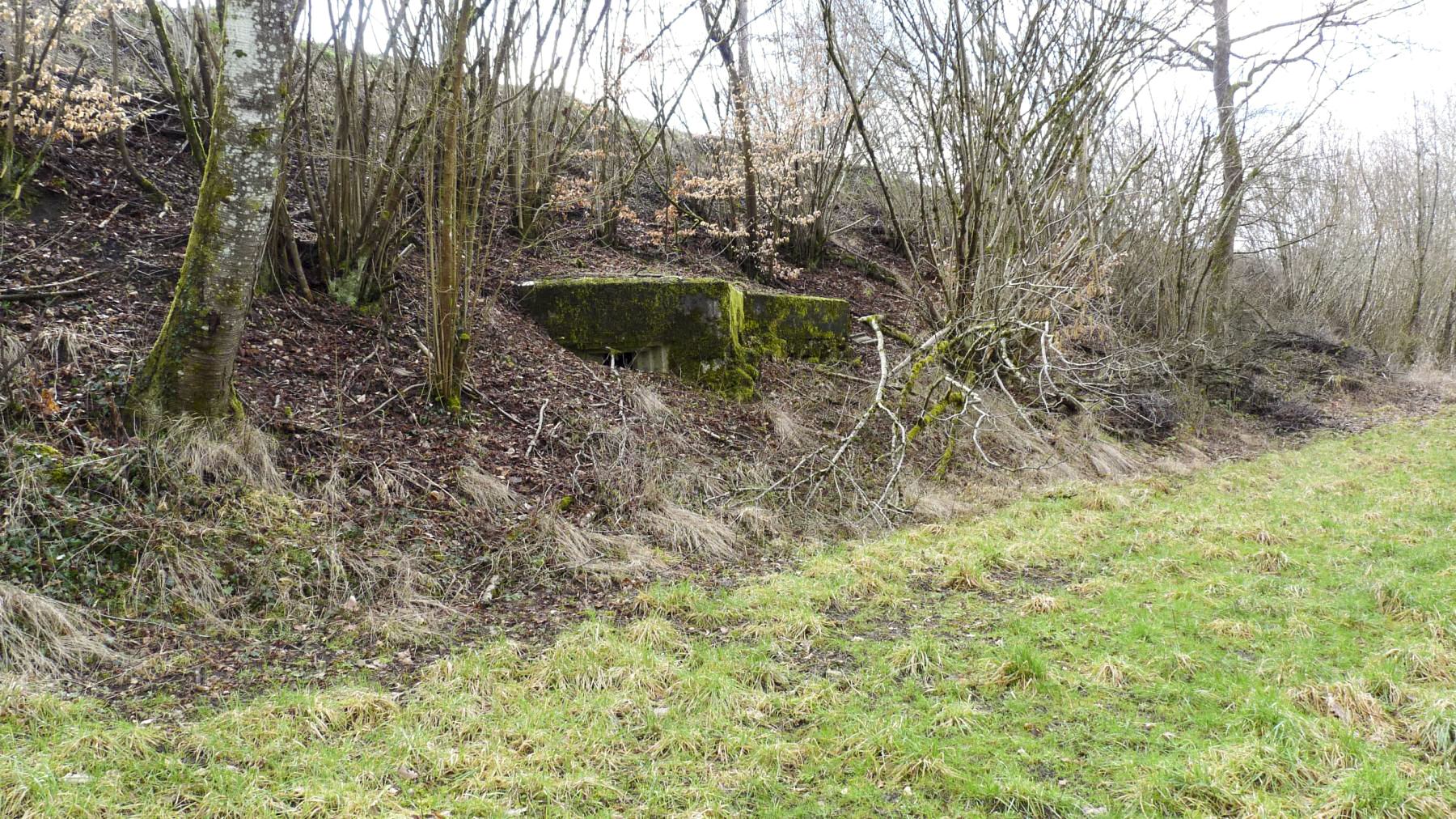 Ligne Maginot - HESTROFF NORD 6 - (Blockhaus pour arme infanterie) -  - Sylvie Laure LAMBERT