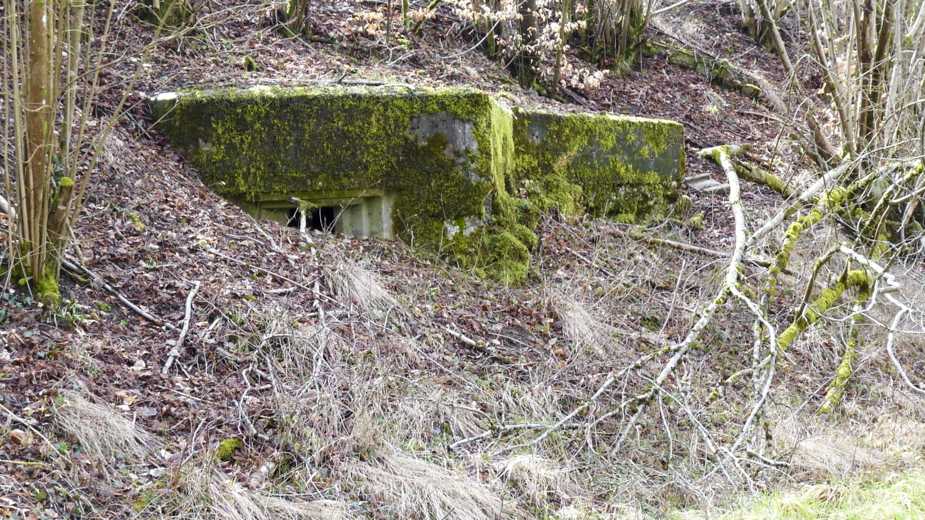 Ligne Maginot - HESTROFF NORD 6 - (Blockhaus pour arme infanterie) -  - Sylvie Laure LAMBERT