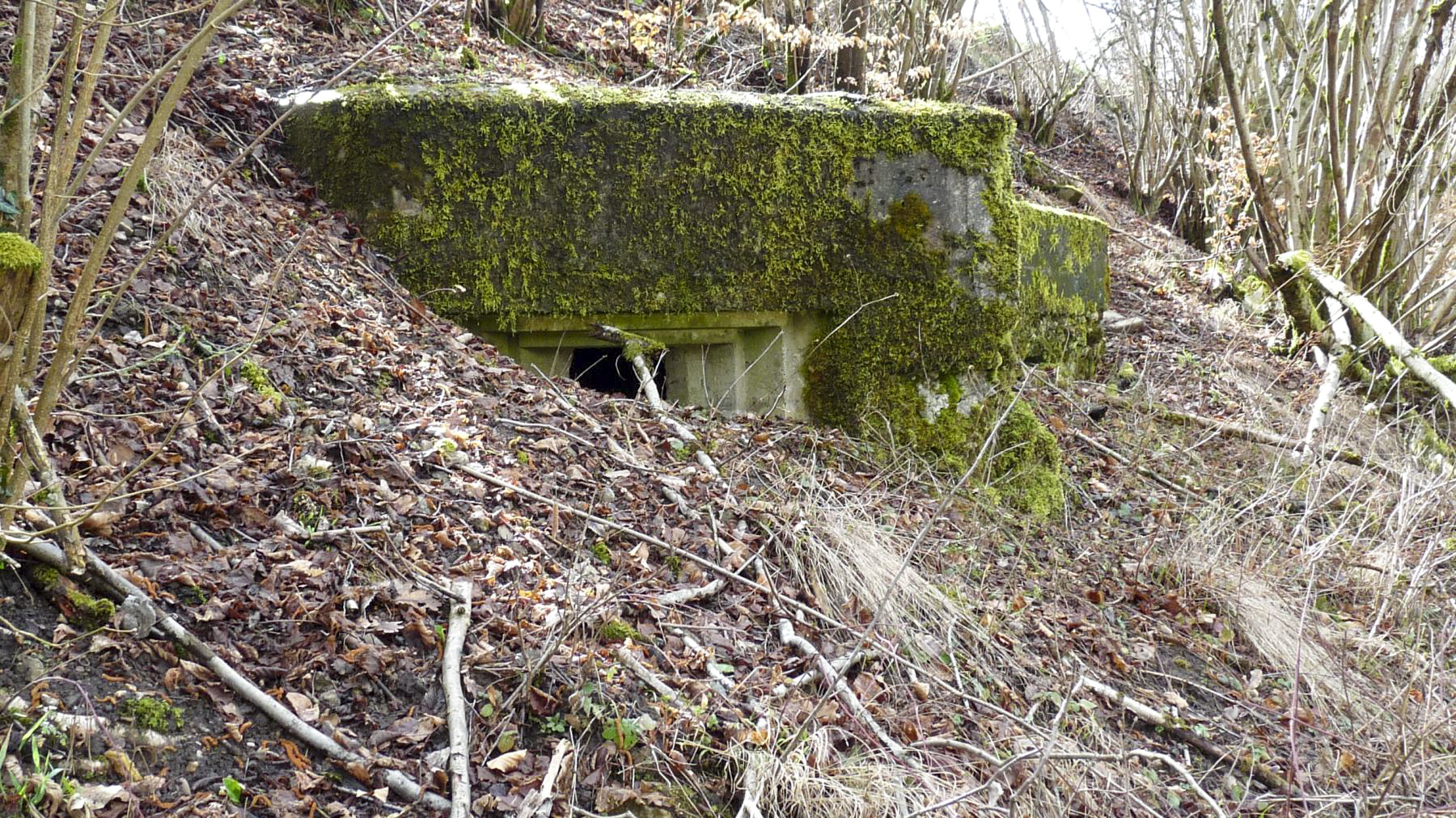 Ligne Maginot - HESTROFF NORD 6 - (Blockhaus pour arme infanterie) -  - Sylvie Laure LAMBERT