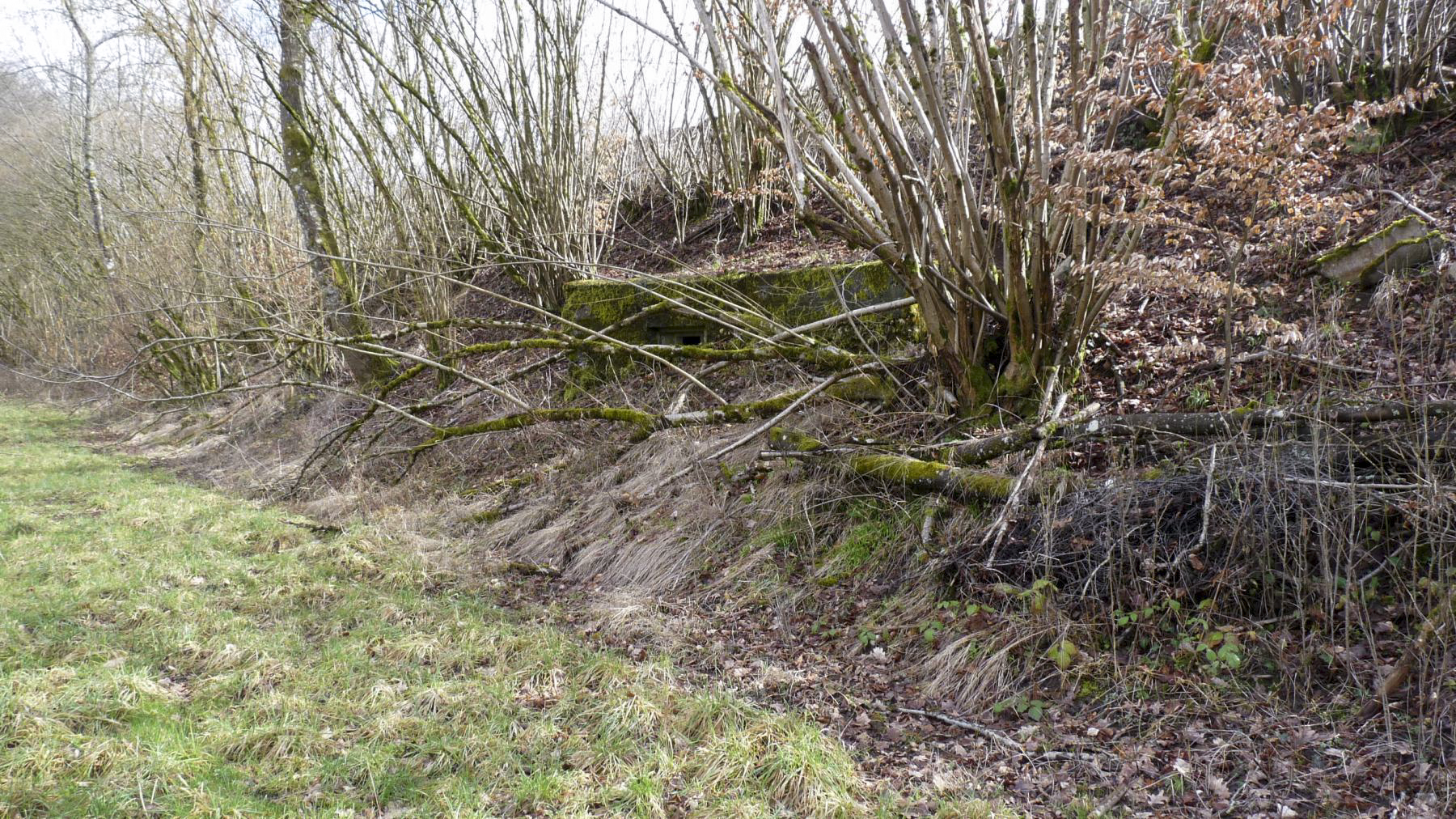 Ligne Maginot - HESTROFF NORD 6 - (Blockhaus pour arme infanterie) -  - Sylvie Laure LAMBERT