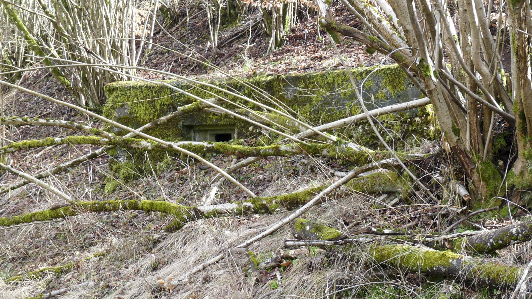 Ligne Maginot - HESTROFF NORD 6 - (Blockhaus pour arme infanterie) -  - Sylvie Laure LAMBERT