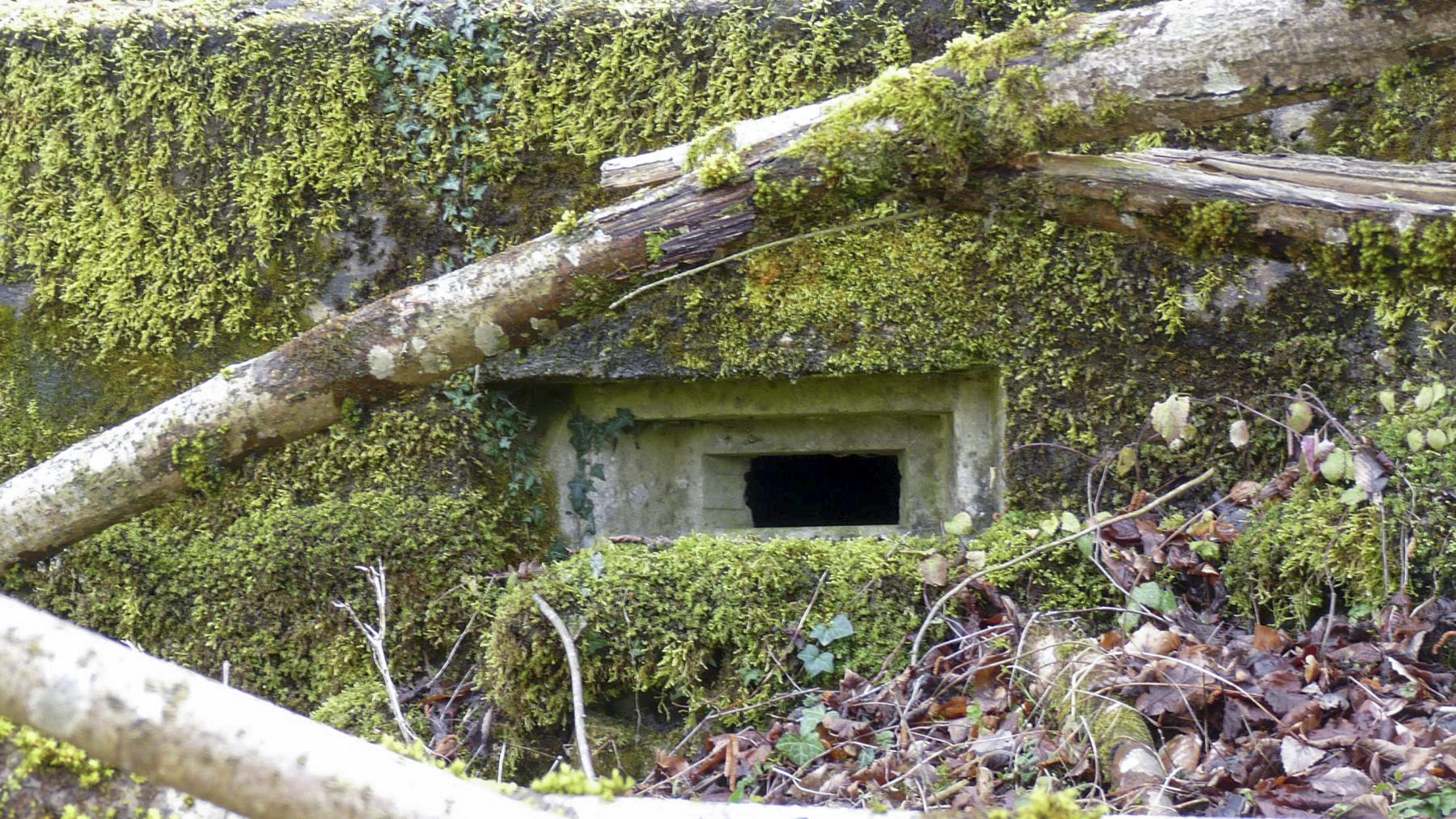 Ligne Maginot - HESTROFF NORD 6 - (Blockhaus pour arme infanterie) -  - Sylvie Laure LAMBERT