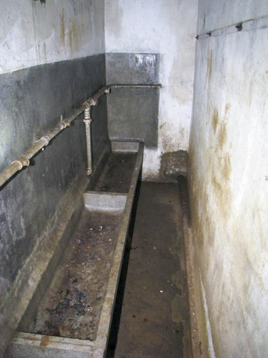 Ligne Maginot - GROS BOIS - X1 (QUARTIER LUDELANGE - I/128°RIF) - (Abri) - Lavabos - Antoine SCHOEN