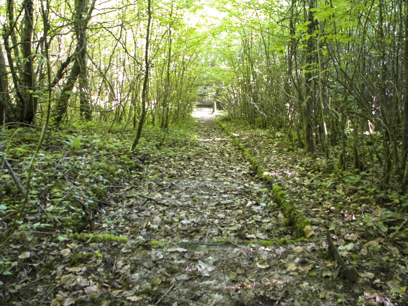 Ligne Maginot - GROS BOIS - X1 (QUARTIER LUDELANGE - I/128°RIF) - (Abri) - L'un des deux escaliers d'accès à l'abri - Antoine SCHOEN