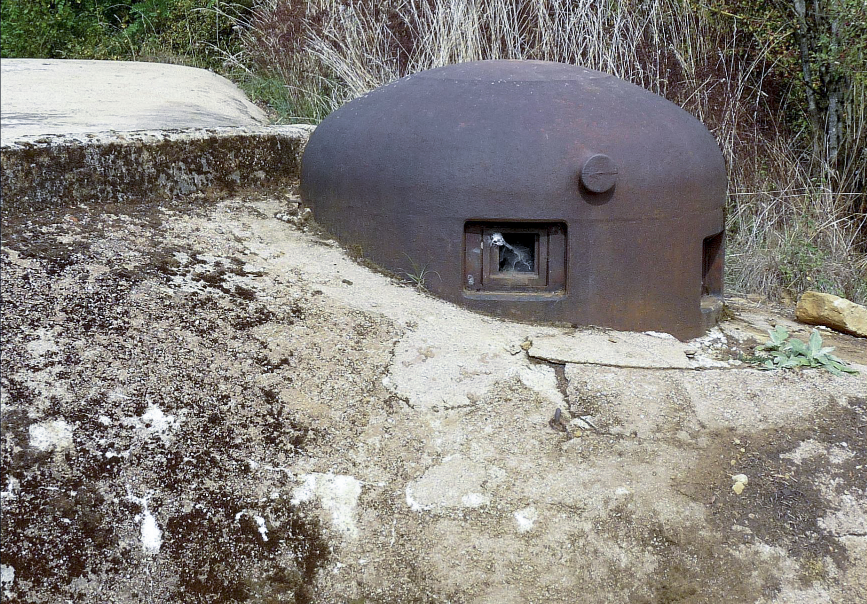 Ligne Maginot - PETERSBERG EST - C40 - (Casemate d'infanterie - Simple) - 2020 - Sylvie Laure LAMBERT
