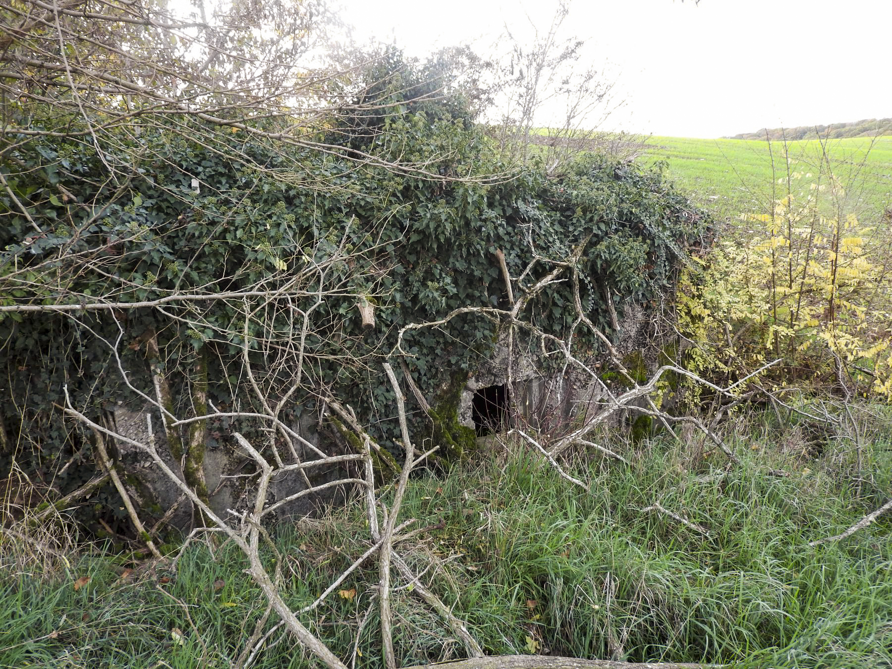 Ligne Maginot - BB226 - ROTHERBERG 04 - (Blockhaus pour arme infanterie) - La façade de tir frontale. - STENGER Mathieu