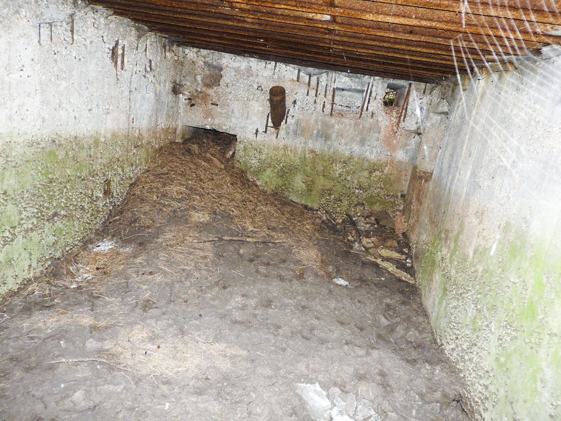 Ligne Maginot - BB226 - ROTHERBERG 04 - (Blockhaus pour arme infanterie) - L'intérieur du blockhaus. L'entrée est au fond; on distingue le créneau latéral à droite à l'arrière. - STENGER Mathieu