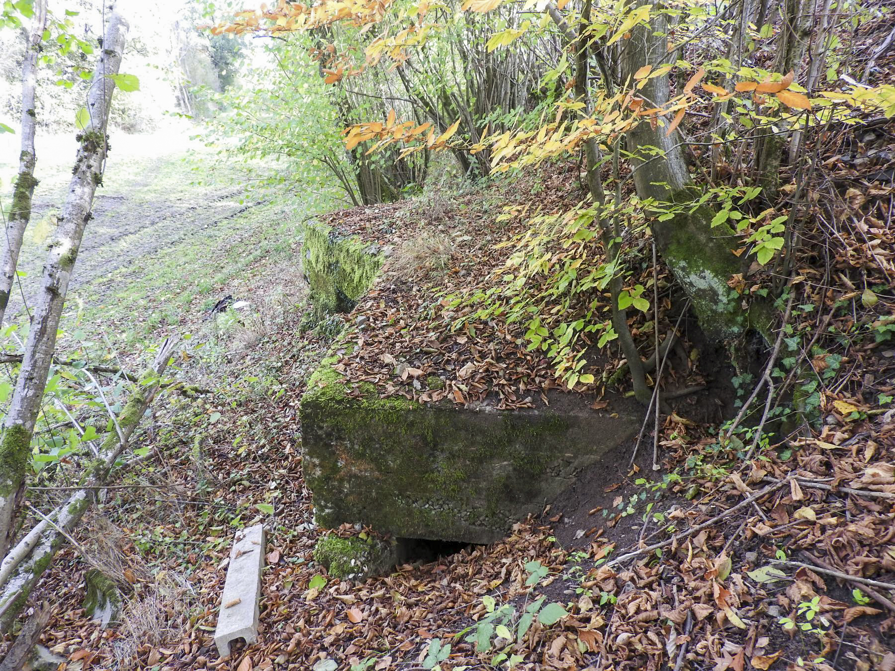 Ligne Maginot - HESTROFF NORD 6 - (Blockhaus pour canon) - La façade arrière avec l'entrée remblayée. - STENGER Mathieu