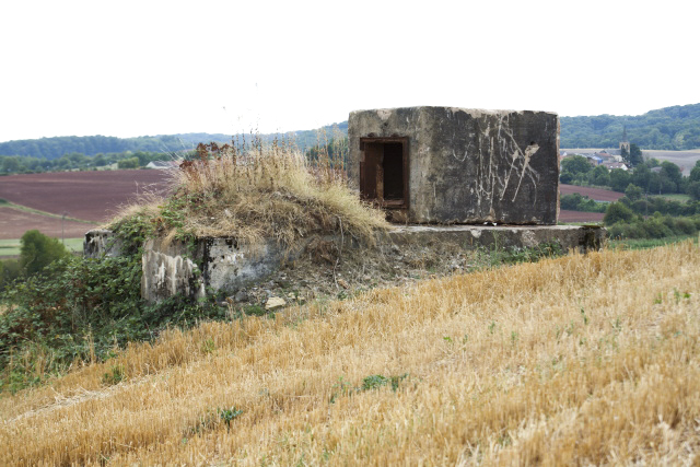 Ligne Maginot - Blockhaus ROTHENBERG 1 et Chambre de coupure 85 M - Le blockhaus, quasiment remblayé.
Une petite chambre de coupure est posée sur sa dalle supérieure pour une raison indéterminée. Il doit s'agir de la chambre de coupure 85 M - www.arnaultjl-photo.com