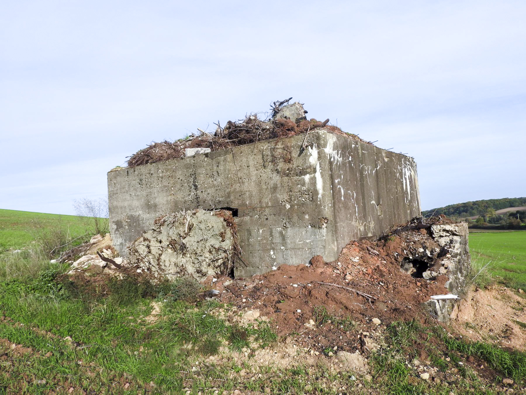 Ligne Maginot - BB205 - ROTHERBERG 02 - (Blockhaus pour canon) - Les entrées sont remblayées par des déchets végétaux. - STENGER Mathieu