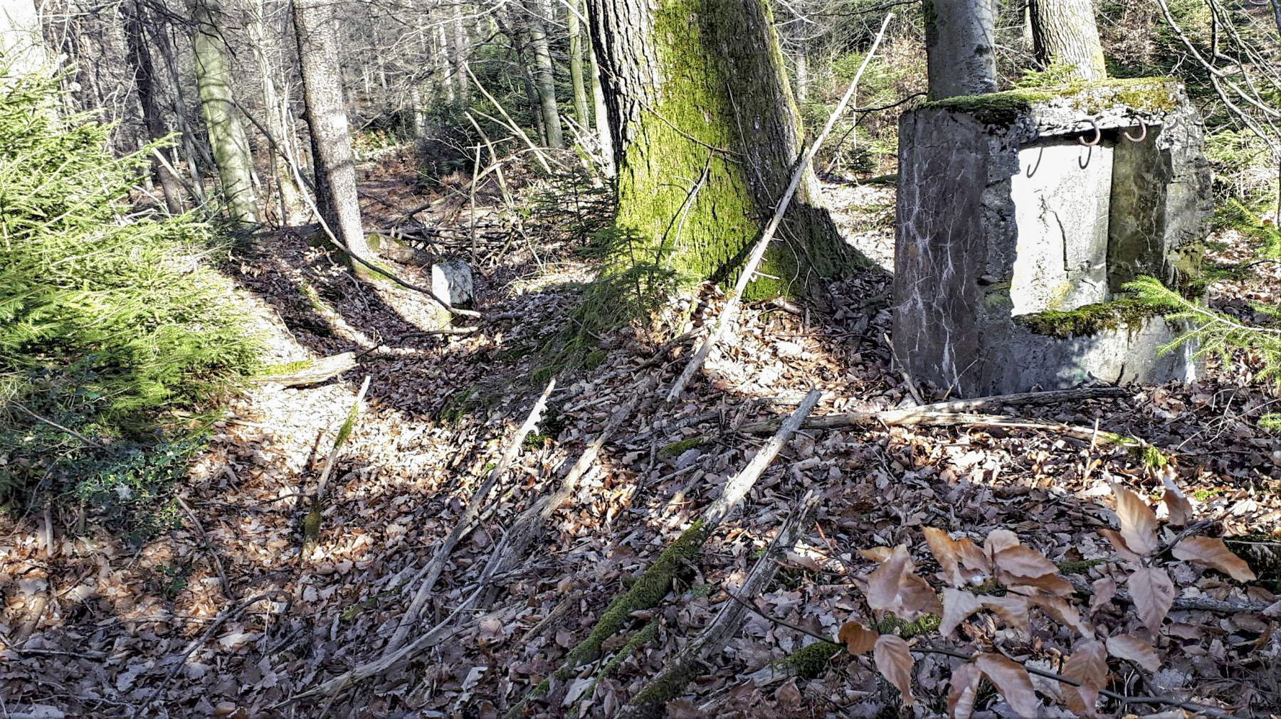 Ligne Maginot - G41 - (Chambre de coupure) - Une tranchée est visible à coté de la borne - Gregory Fuchs