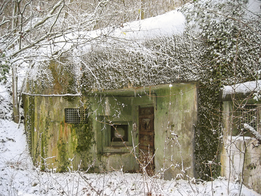 Ligne Maginot - ENTRANGE - C41 (Casemate d'infanterie - Simple) -  - Michel Teiten