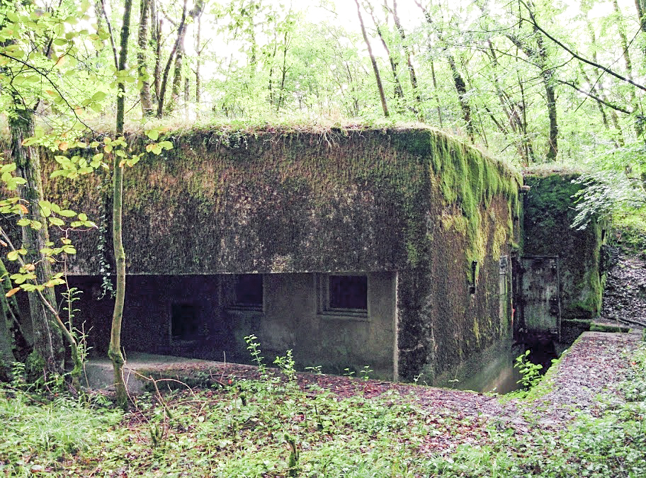 Ligne Maginot - BOIS DE KANFEN OUEST - C42 - (Casemate d'infanterie - Simple) -  - PAVEL Jan